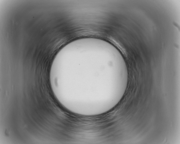 X0000095910117200801110836