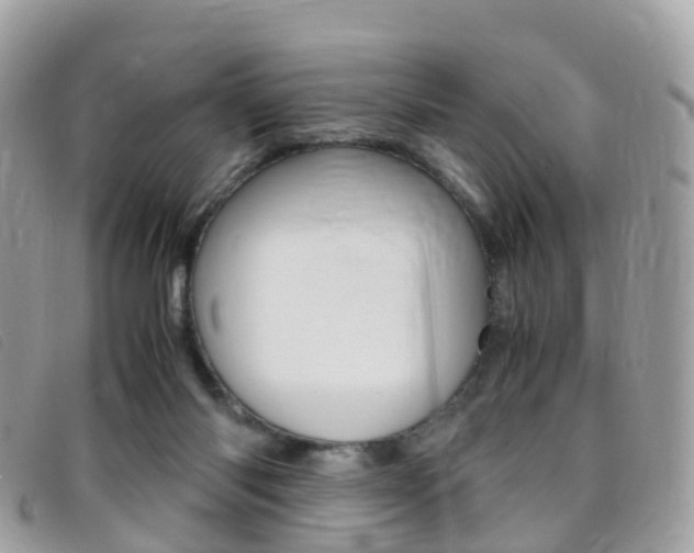 X0000095910118200801110836