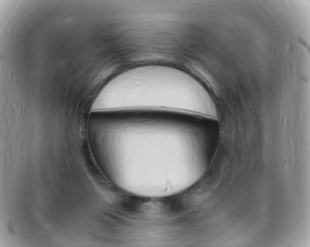 X0000095910119200801110836