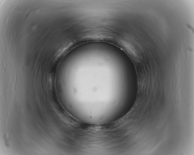 X0000095910120200801110836