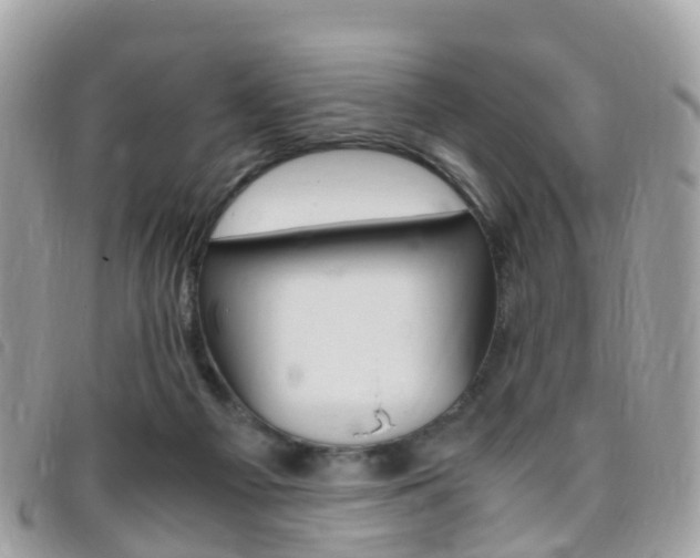 X0000095910121200801110836