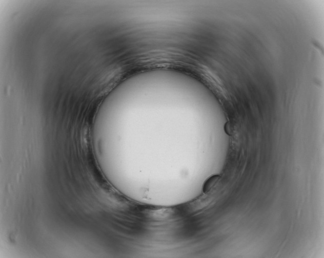 X0000095910122200801110836