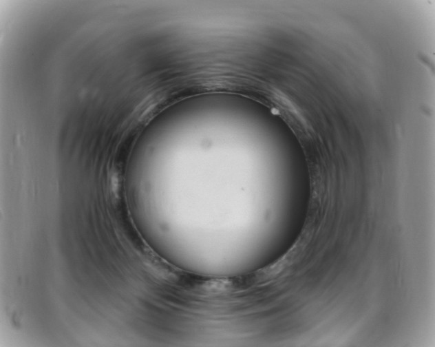 X0000095910124200801110836