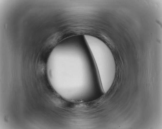 X0000095910125200801110836