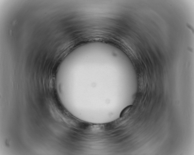 X0000095910126200801110836