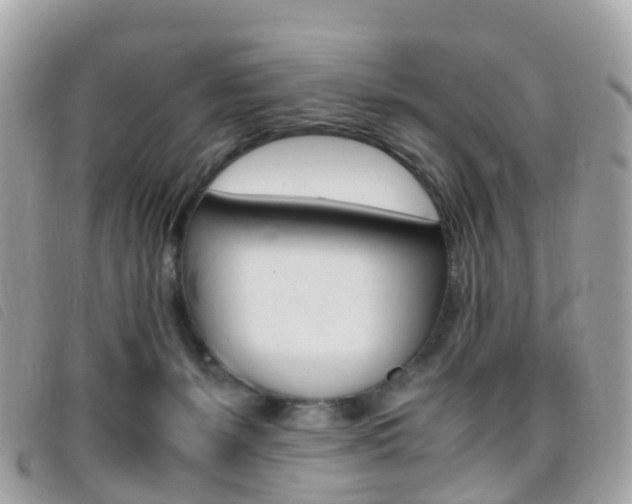X0000095910127200801110836