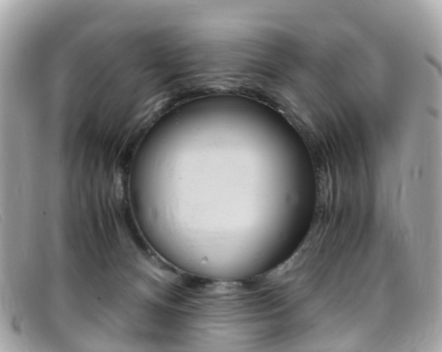 X0000095910128200801110836
