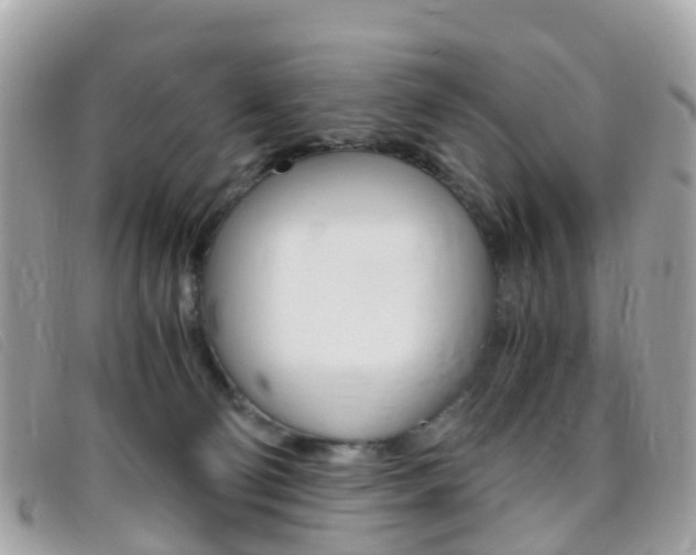 X0000095910130200801110836