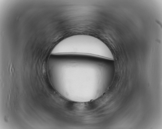 X0000095910131200801110836