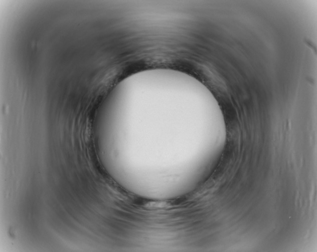 X0000095910133200801110836