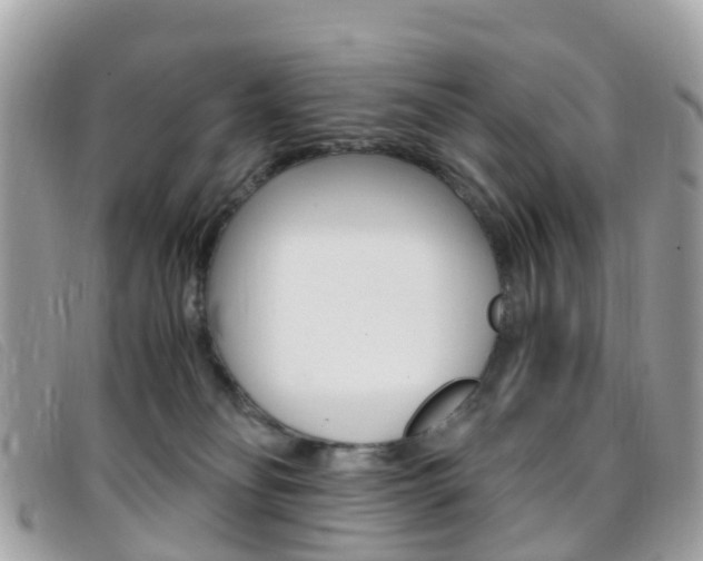 X0000095910134200801110836