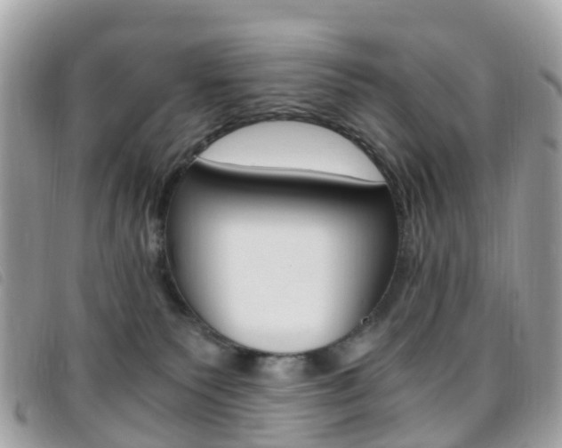 X0000095910135200801110836