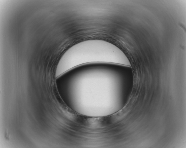 X0000095910136200801110836