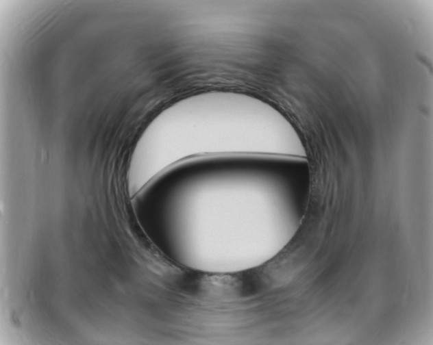 X0000095910137200801110836
