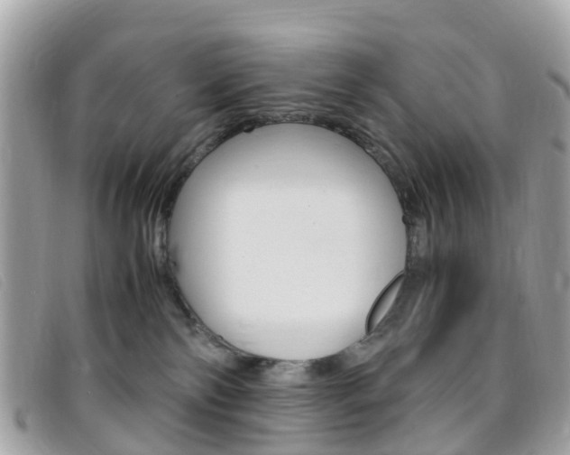 X0000095910138200801110836