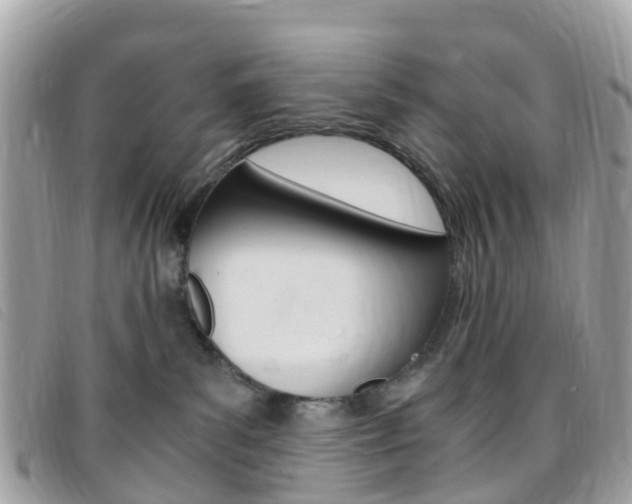 X0000095910139200801110836