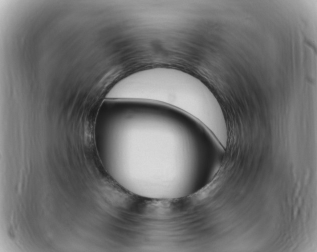X0000095910140200801110836