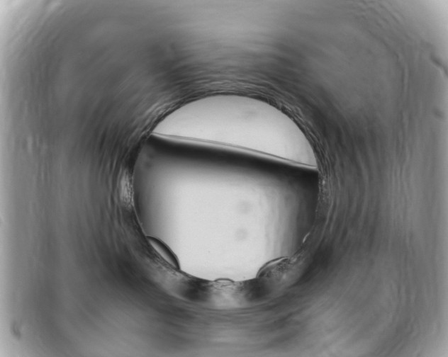 X0000095910143200801110836