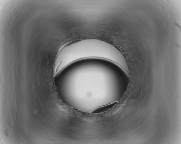 X0000095910144200801110836