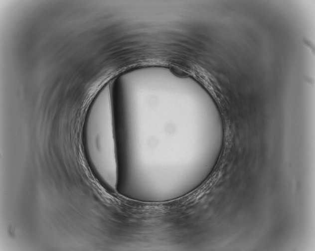 X0000095910145200801110835