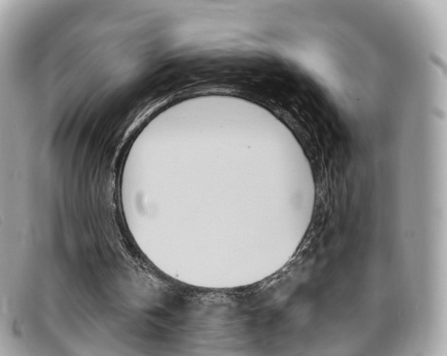 X0000095910146200801110835