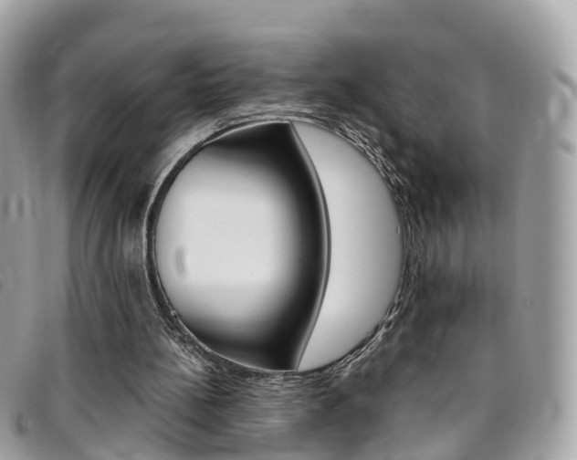 X0000095910148200801110835
