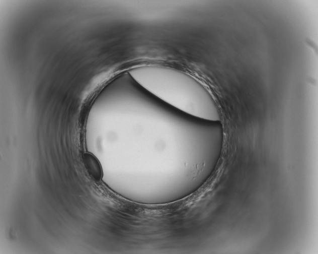 X0000095910149200801110835