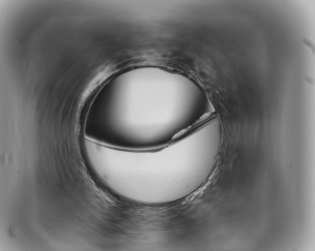 X0000095910150200801110835