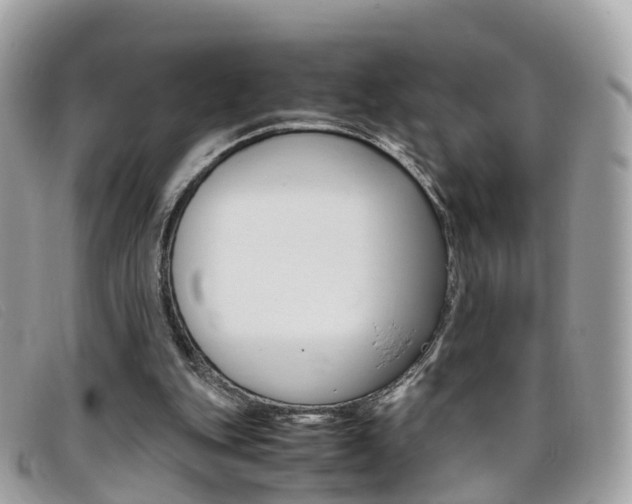 X0000095910151200801110835