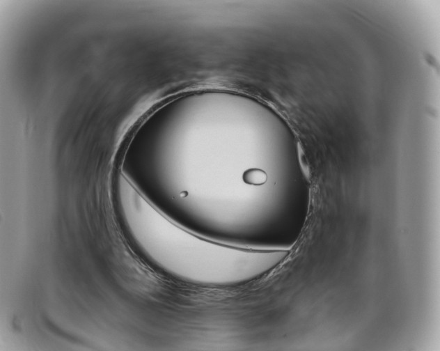X0000095910152200801110835