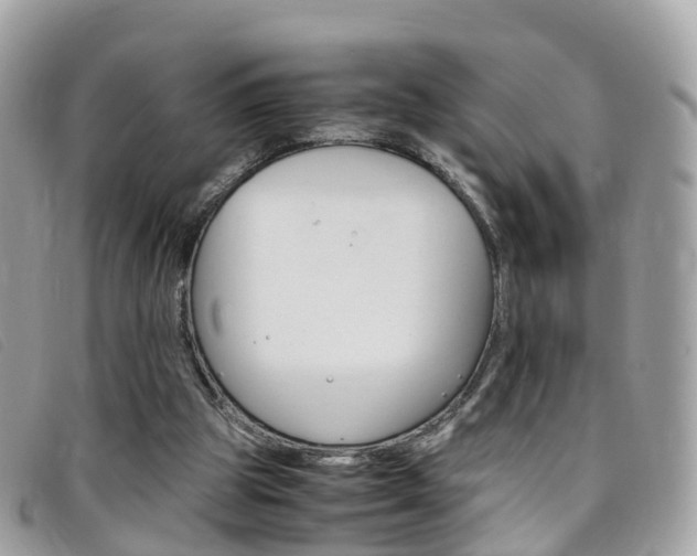 X0000095910153200801110835