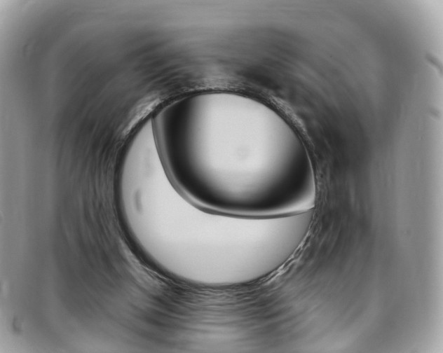 X0000095910154200801110835