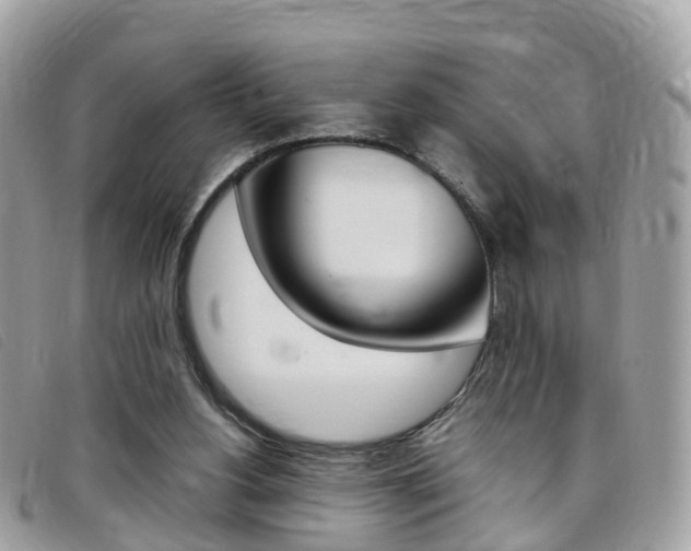 X0000095910156200801110835