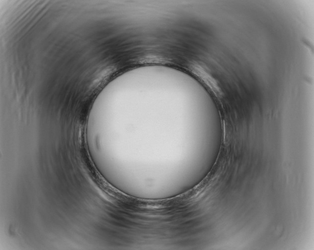 X0000095910157200801110835