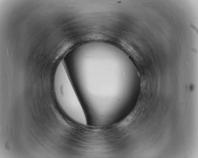 X0000095910158200801110835