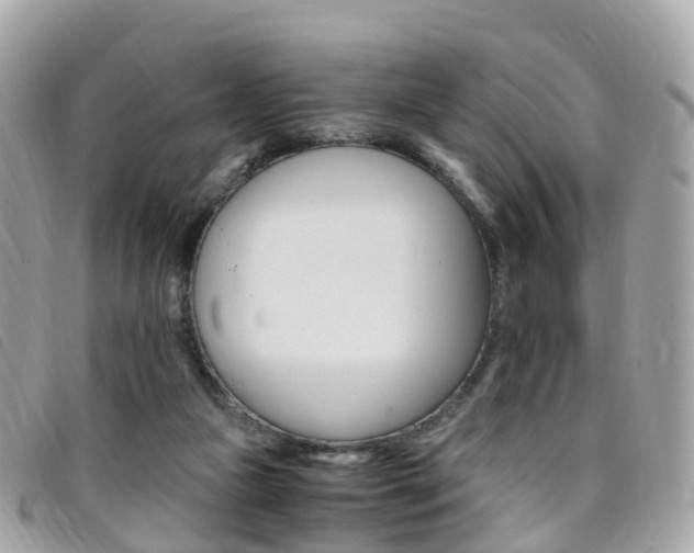 X0000095910161200801110835