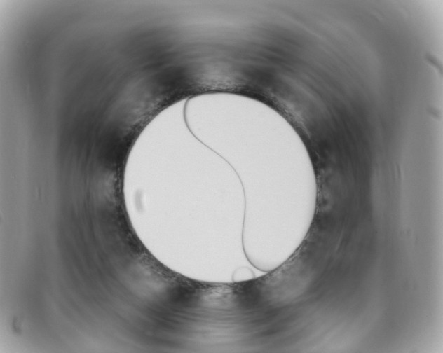 X0000095910162200801110835
