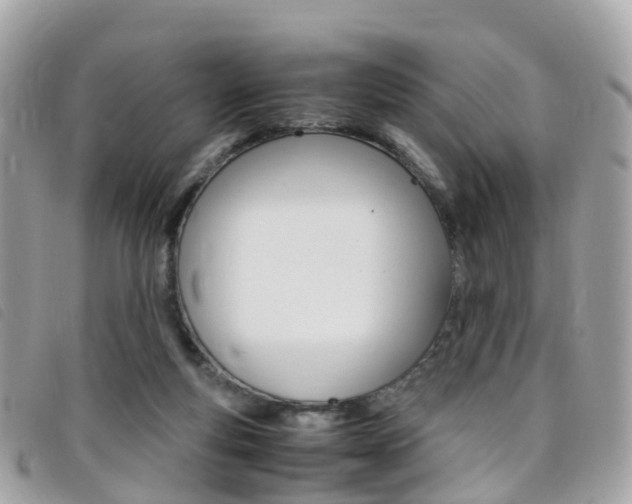 X0000095910163200801110835