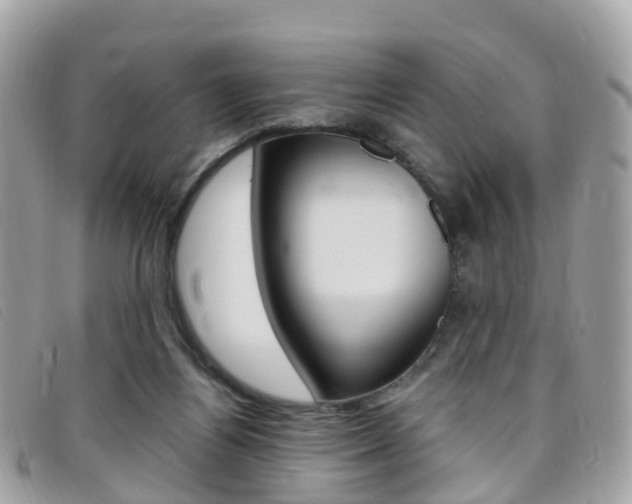 X0000095910164200801110835