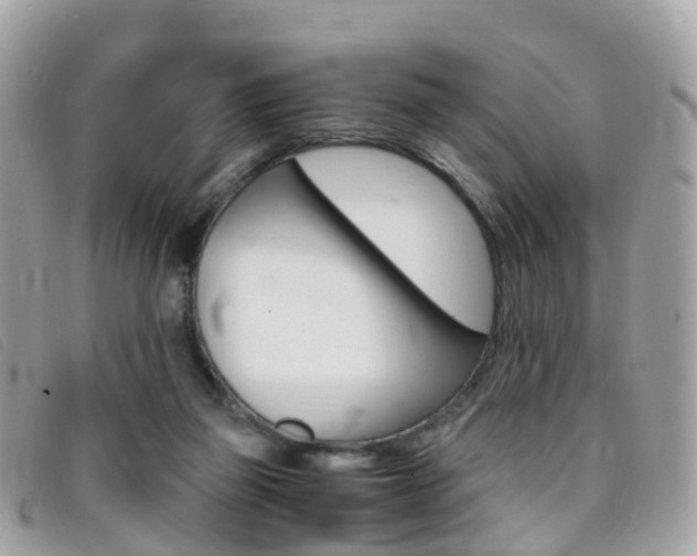 X0000095910165200801110835