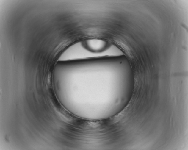 X0000095910166200801110835