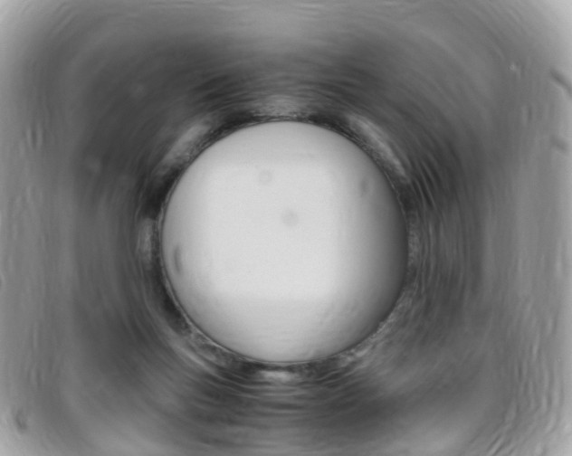 X0000095910167200801110835
