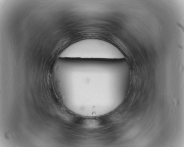 X0000095910169200801110835