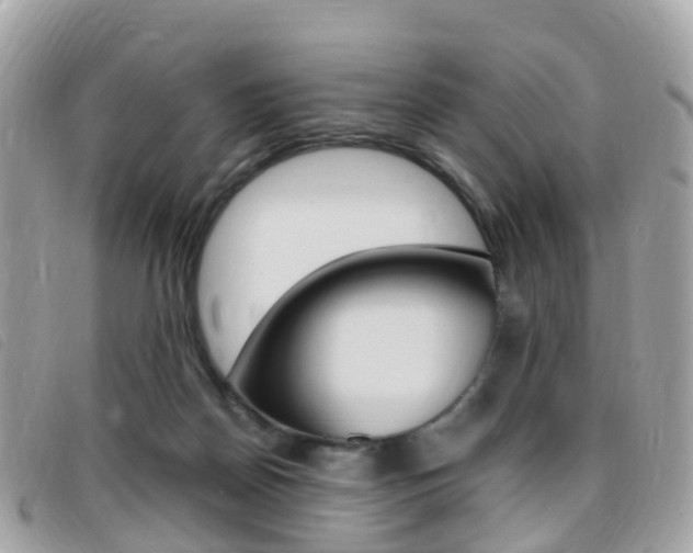 X0000095910170200801110835