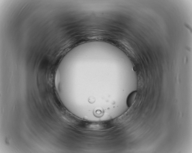 X0000095910171200801110835
