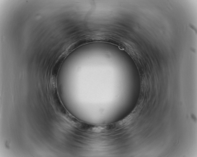 X0000095910172200801110835