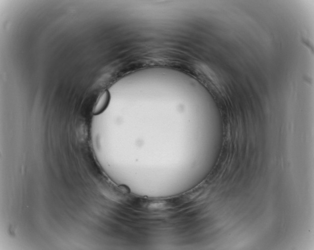 X0000095910173200801110835