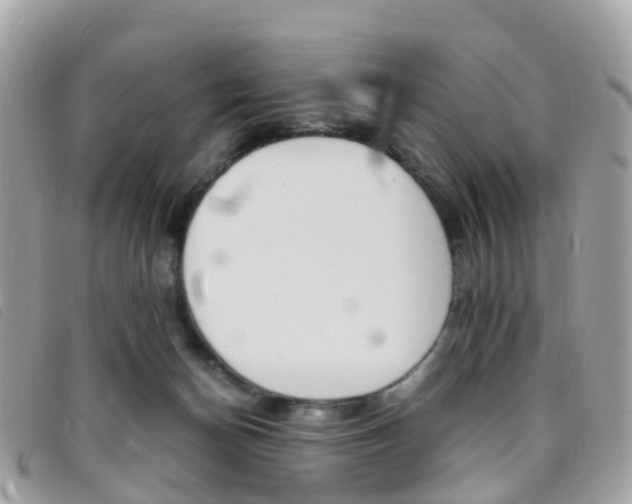 X0000095910174200801110835