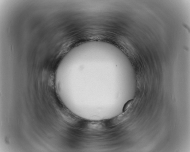 X0000095910175200801110835