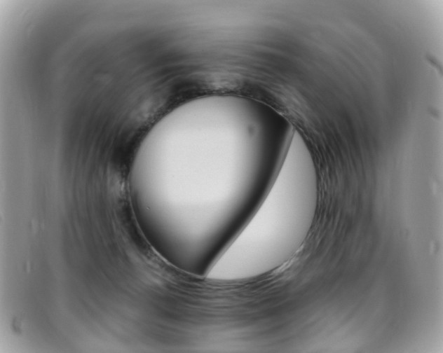X0000095910176200801110835